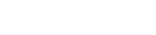 Vehiculo Total